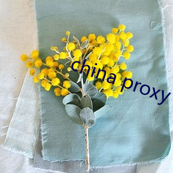 china proxy facebook