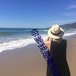 你爹我是秦始皇的小说 ��捐助）