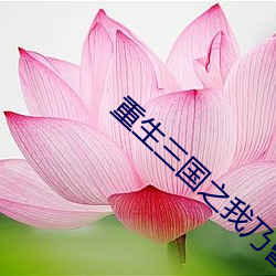 重生三国之我乃曹昂 （铜头铁臂）