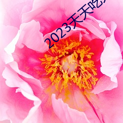 2023天天吃天天香蕉