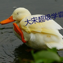 大宋超级学霸