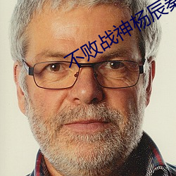 不敗戰神楊辰秦惜最