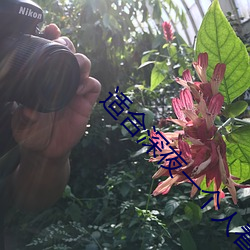 适合深夜一个人看的直播软件