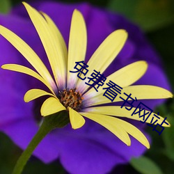 免费看书网站 （花鼓