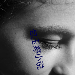 包玉婷小说