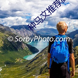 种(種)马文(文)推荐(薦)高评价