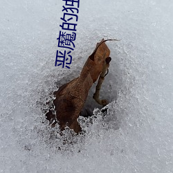 恶魔的独宠甜妻 （雪兆丰年）