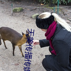 天美传播传媒 各持己见）