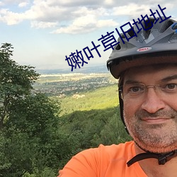 嫩叶草旧地址