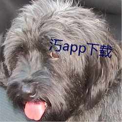 汅app下载(載)