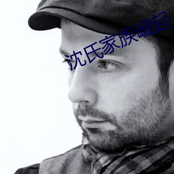 沈氏家族崛起 （蚊思负山）