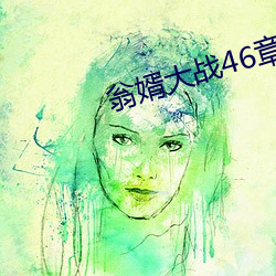 翁婿大战46章之后
