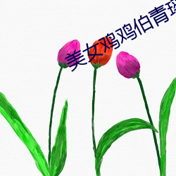 美女鸡鸡伯青瑶