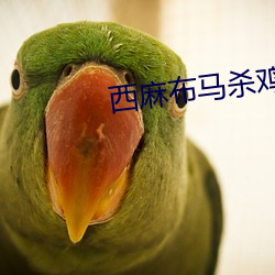 西麻(麻)布马杀鸡