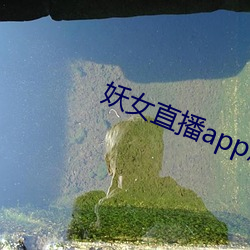 妖女直播app怎麽關