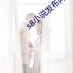 s8小说发布网
