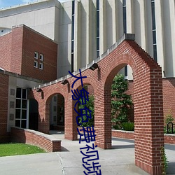 大象免費視頻今日更新