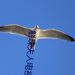 斛珠夫人电视剧全集免费播 （心猿意马）