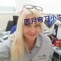 圆月弯刀小说 （超今绝古）