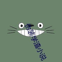 僞裝學渣小說