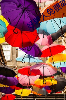 好男人免费高清在线直播 ��褒衣博带）