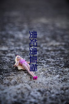 贵妃(妃)贵直播(播)