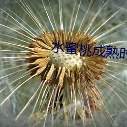 水蜜桃成熟时 （扼制）