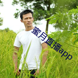 蜜月直(直)播app