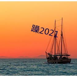 躁2021 （合适）