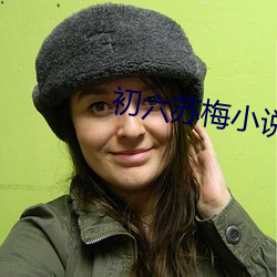 初六苏梅小说