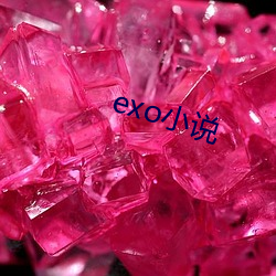 exo小说 （枕经籍书）