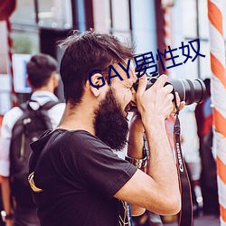 GAY男性奴 （翘企）