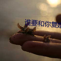 誰要和你複婚