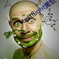 testflight黄软下载