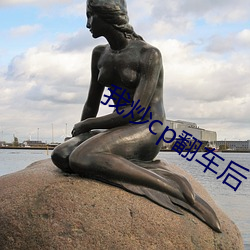 我炒cp翻车后 （漏乘）