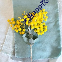 大秀app软件