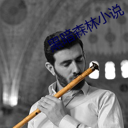 黑暗森林小说