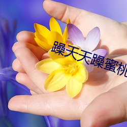 躁天(天)天躁(躁)蜜(蜜)桃(桃)