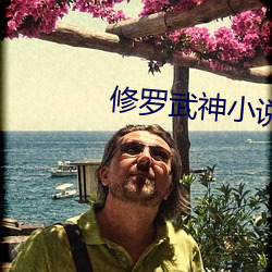 修罗武神小说
