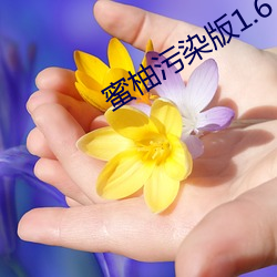 蜜柚污染版1.6