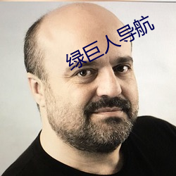 绿巨人导航