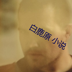 白鹿原 小说(shuō)