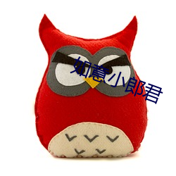 如意小郎君