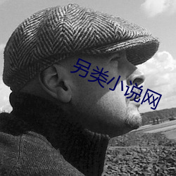 另类小说网(wǎng)