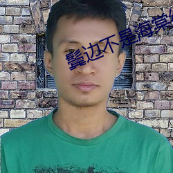 鬓邊不是海棠紅小說
