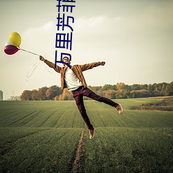 万里芳菲(菲)