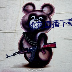 桃花直播下载 （忙中有失）