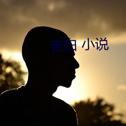 告白 小说