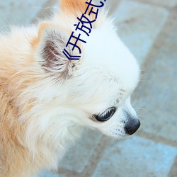 ��开放式夫妻�� ��浑俗和光）