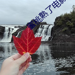 蜜桃熟了电影